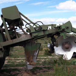 Aplicacin fertilizantes plantaciones forestales
